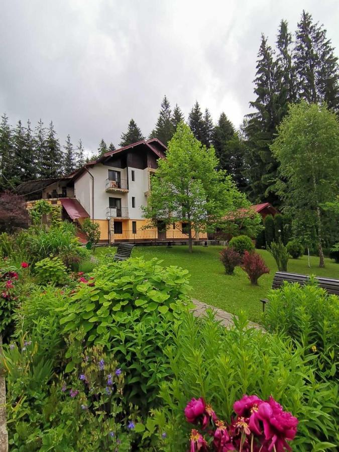 Pensiunea Lu' Movila Дурау Экстерьер фото